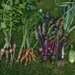 Home grown vegetables