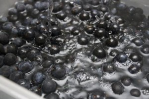 adding gin to sloes