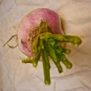 fallowfields home grown veg