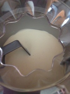 elderflower and yoghurt ice cream in mixer
