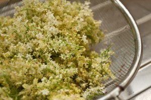elderflower syrup