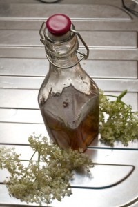 elderflower syrup