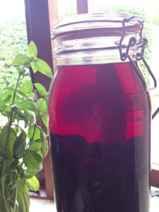 damson gin