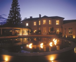 The Vineyard Media Size