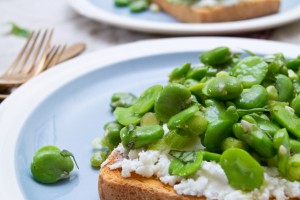 broad beans and goat's cheese on toast