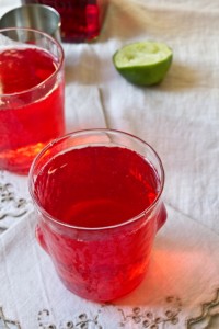 damson gin