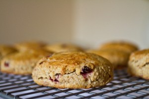 elderberries in the scone