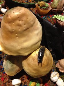 Baketopia mushrooms