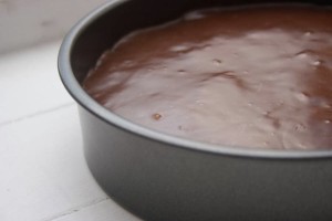 Malted Chocolate Biscuits in the tin