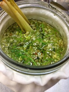 infusing elderflower and lemongrass