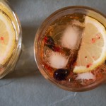 Elderflower and Blackcurrant Gin and Tonic bird's eye