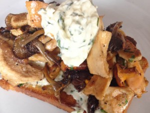 Mushrooms on toast at Baravin Aberystwyth