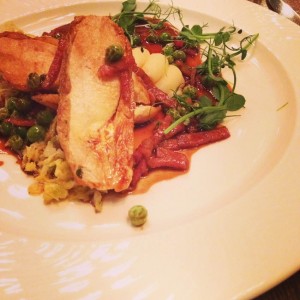 chicken and savoy cabbage