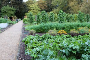 Le Manoir vegetable garden