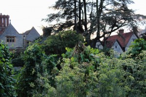 Le Manoir gardens