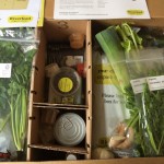 Riverford Recipe Box Review
