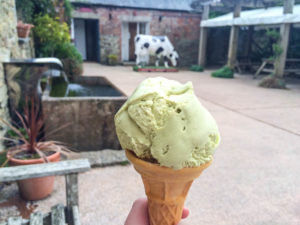 North Cornwall Coast Road Trip - Callestick Farm