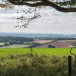 An Adventure Just Outside the Back Door - Wayferers Walk