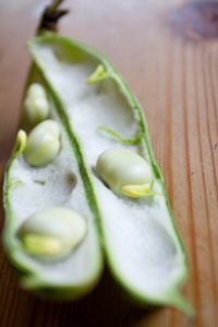 broad beans in pod