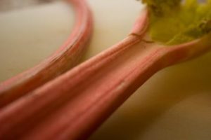 rhubarb