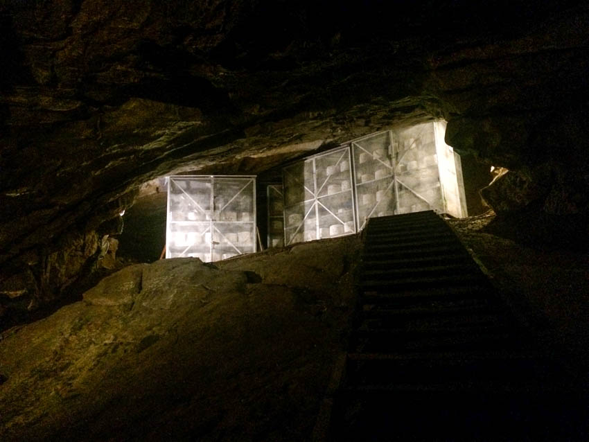Cheese maturing in cheddar caves